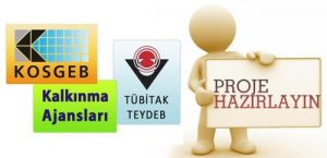 proje-devlet-destekleri